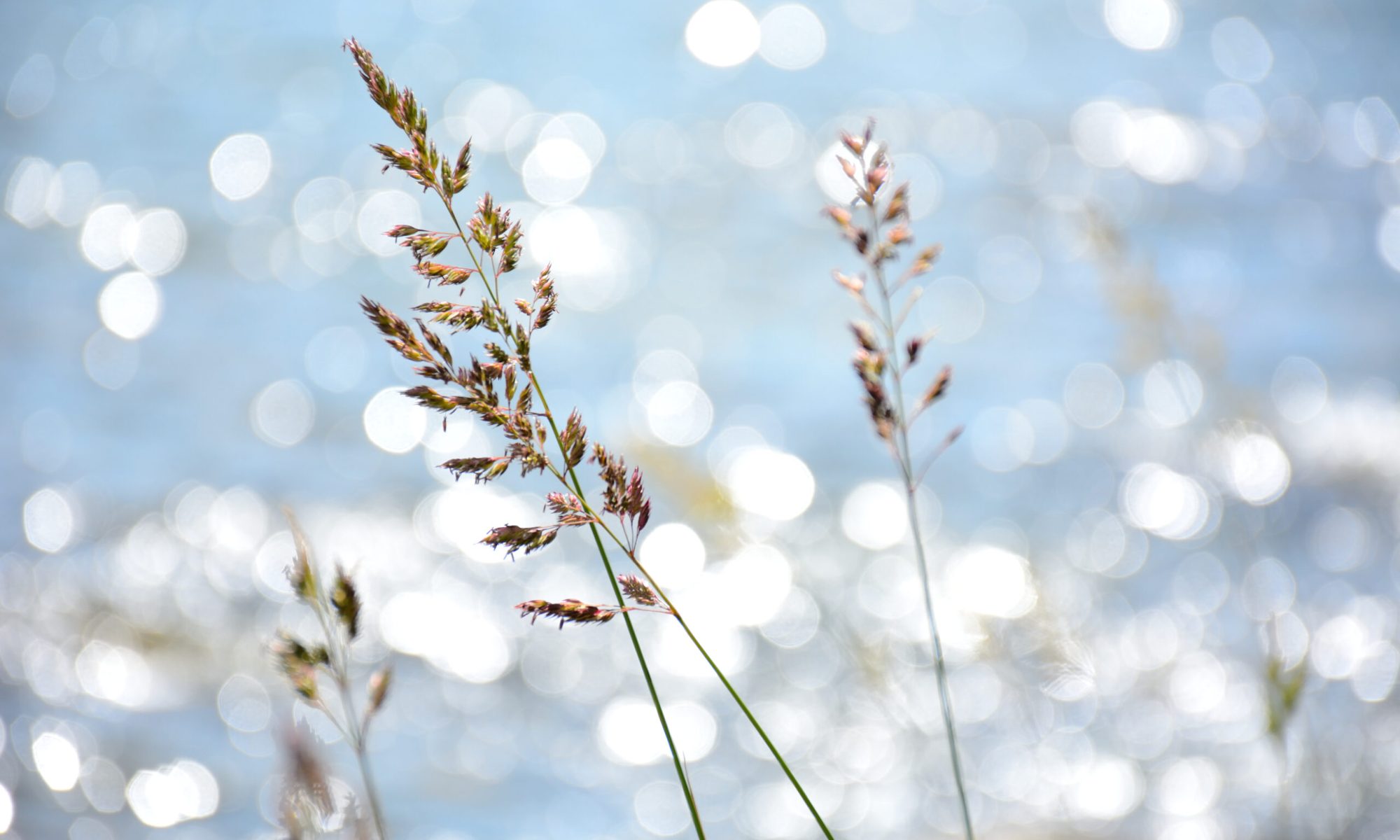 Photo taken in Helsinki, Finland