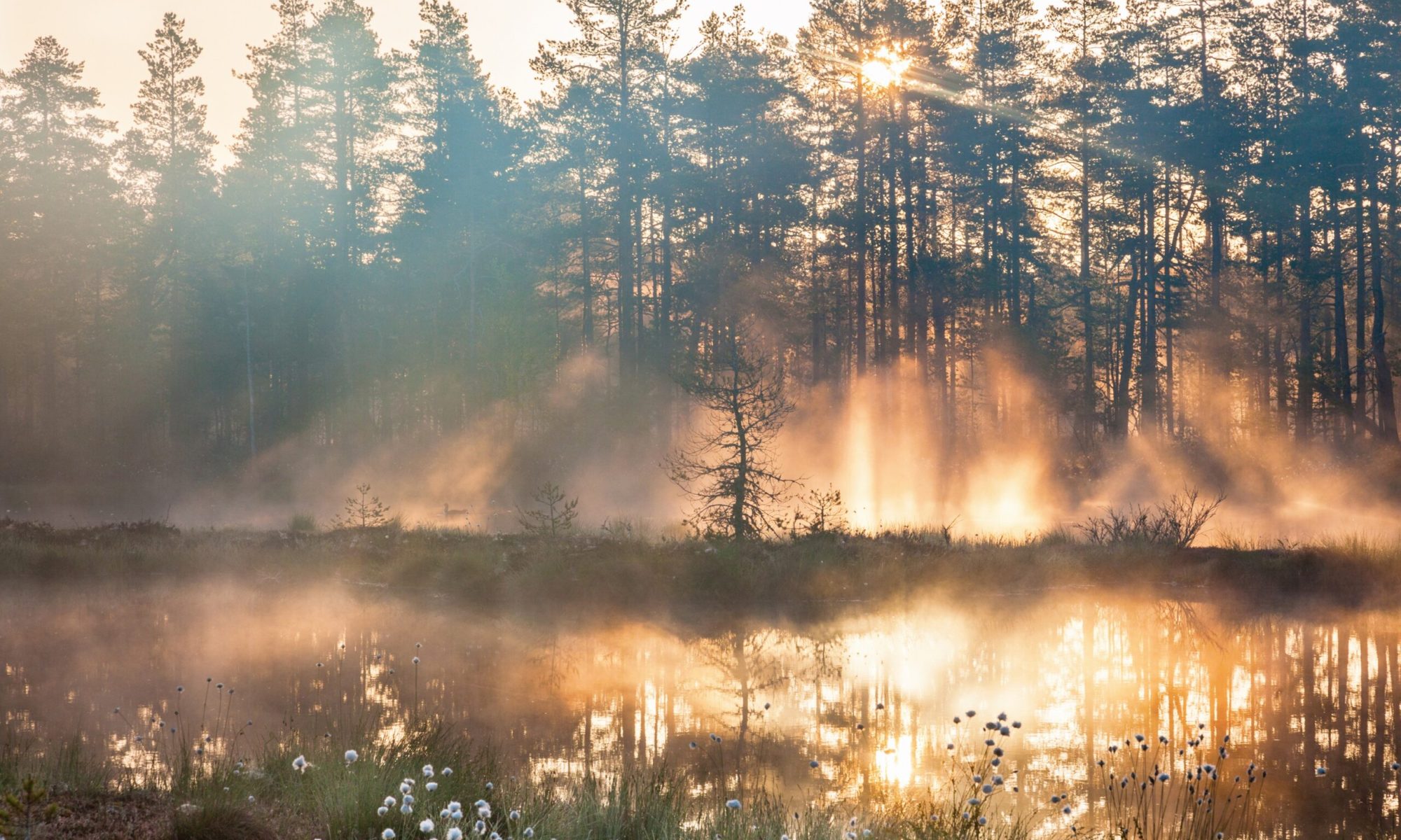 Photo taken in Hällefors, Sweden